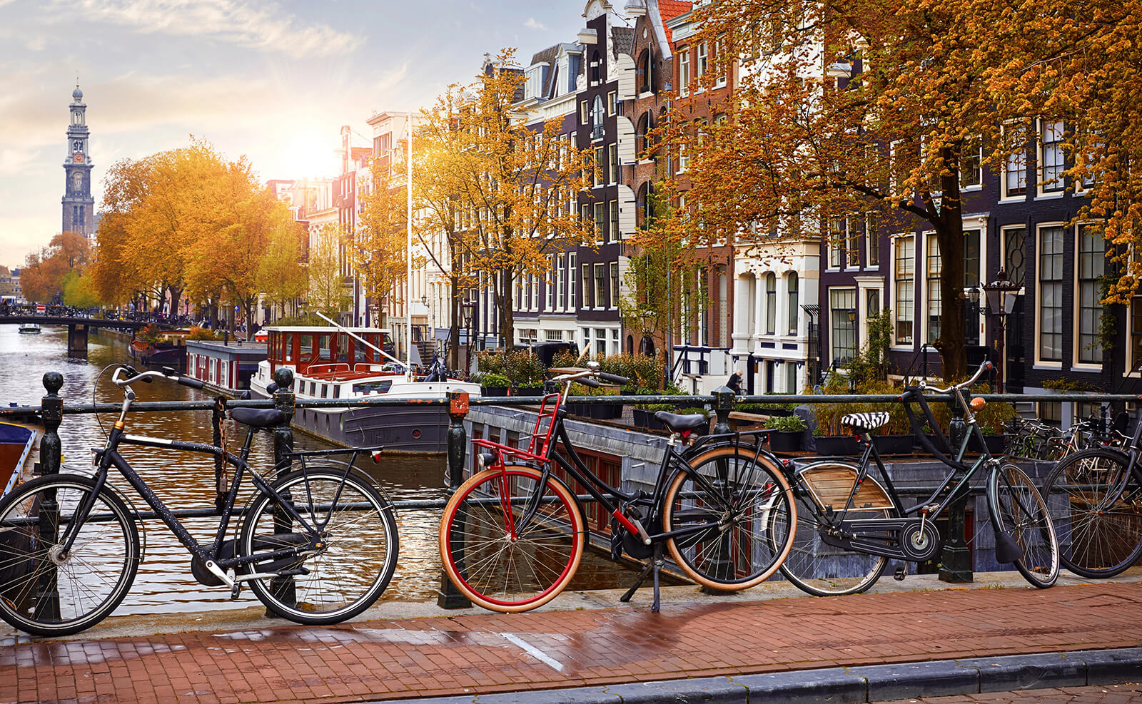 Why learn Dutch? 5 Reasons to start today